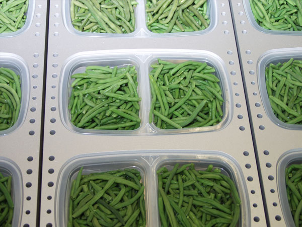 Green Beans automatic tray filling